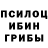 Псилоцибиновые грибы ЛСД Anatoliy Kotenko