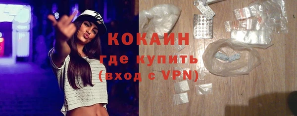 эйфоретик Няндома
