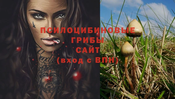 эйфоретик Няндома