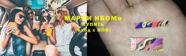 эйфоретик Няндома