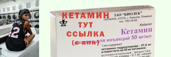 эйфоретик Няндома