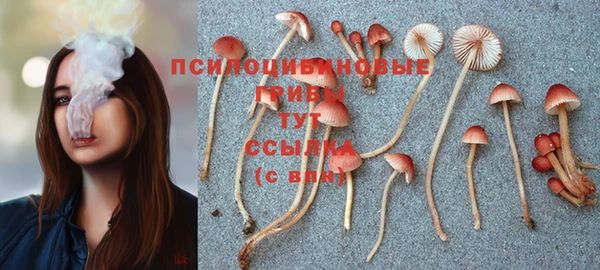 прущая мука Новозыбков