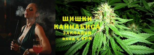 PSILOCYBIN Нягань