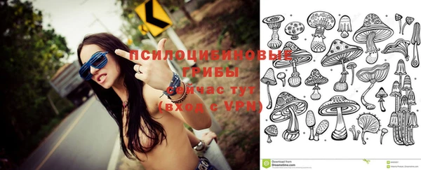 PSILOCYBIN Нягань