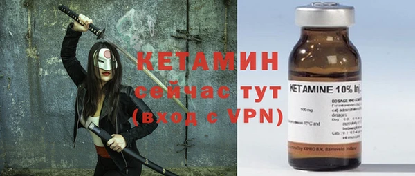 эйфоретик Няндома