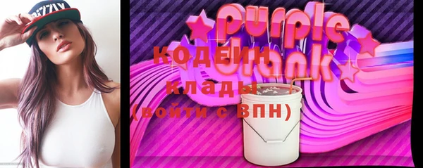 эйфоретик Няндома