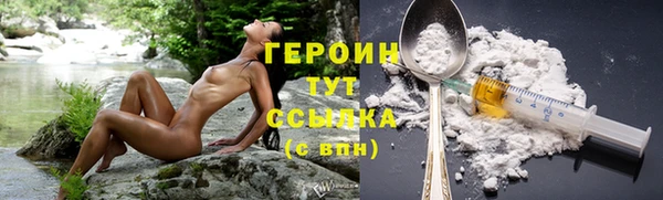 эйфоретик Няндома