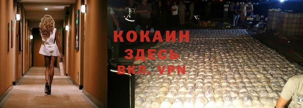 PSILOCYBIN Нягань