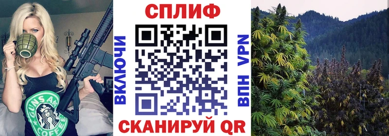 Каннабис планчик  Макушино 